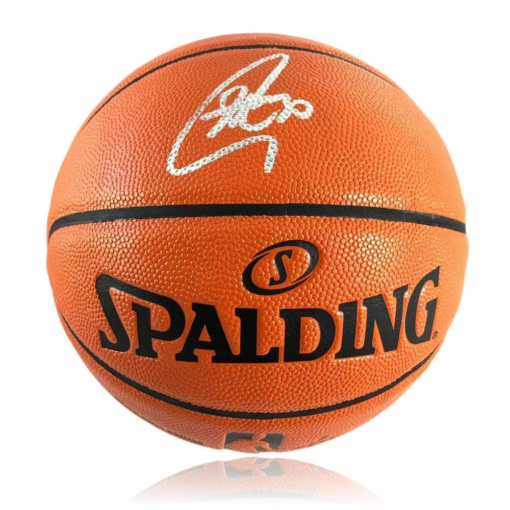 REPLICA SIGNED STEPHEN CURRY SIGNED BASKETBALL